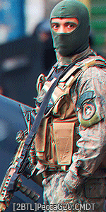 PECCArLQG20